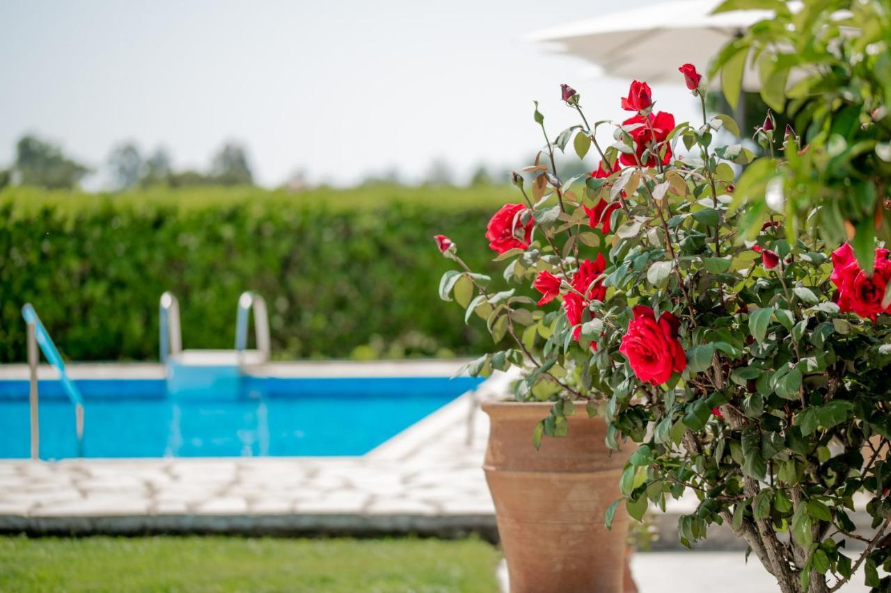 Villa In Pietra Kalamaras Makhairadhon Экстерьер фото